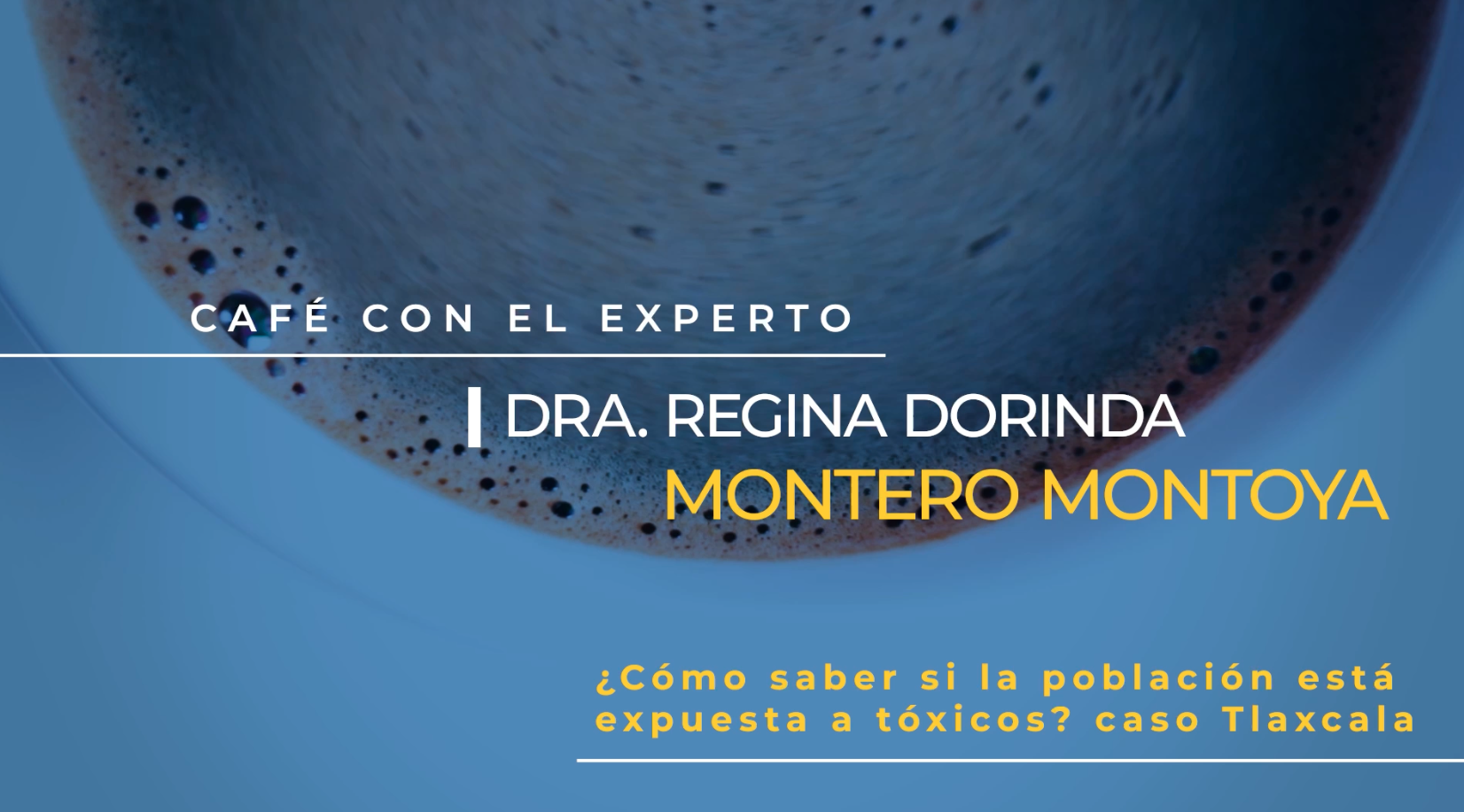 ¿Cómo saber si la población está expuesta a tóxicos? caso Tlaxcala - 4/5